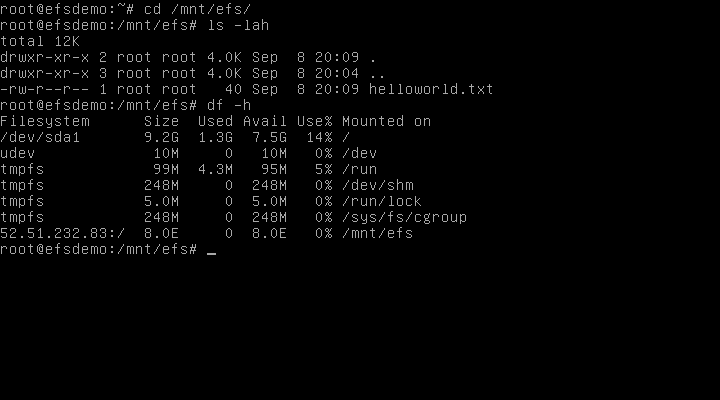 EFS File Usage